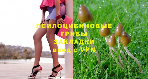 альфа пвп Инта