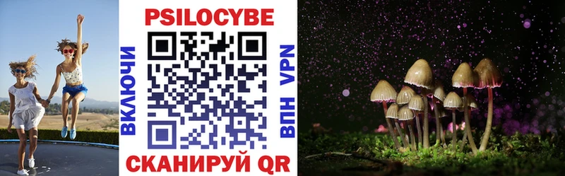 Купить закладки  Болгар  Галлюциногенные грибы MAGIC MUSHROOMS 
